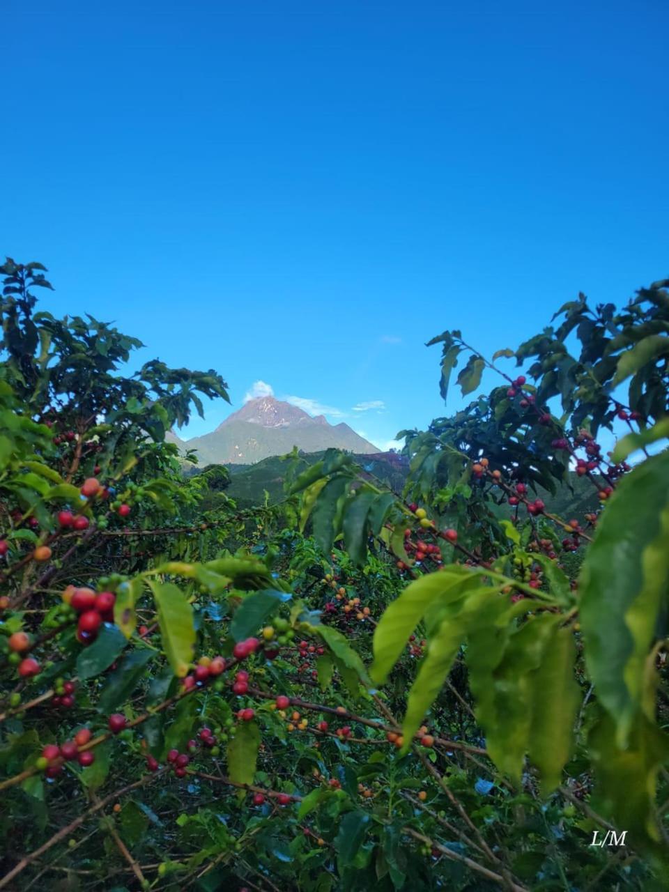 Finca Hostal Valle Claro Hotel Betania Luaran gambar